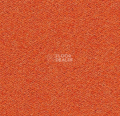 Ковровая плитка Tessera Chroma 3625 Calypso фото 1 | FLOORDEALER